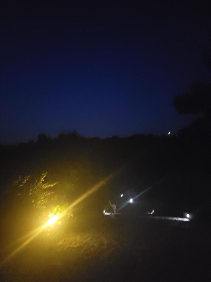 הוילה ארקוס דה ואלדבז Quinta Da Picouta מראה חיצוני תמונה