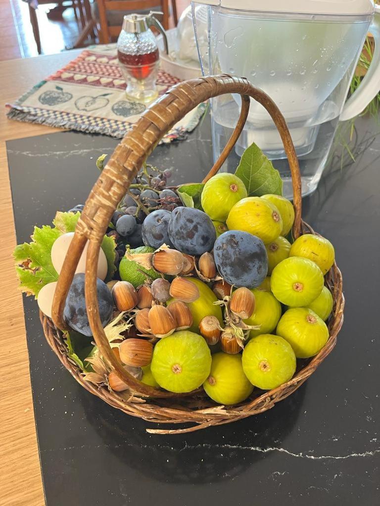 הוילה ארקוס דה ואלדבז Quinta Da Picouta מראה חיצוני תמונה